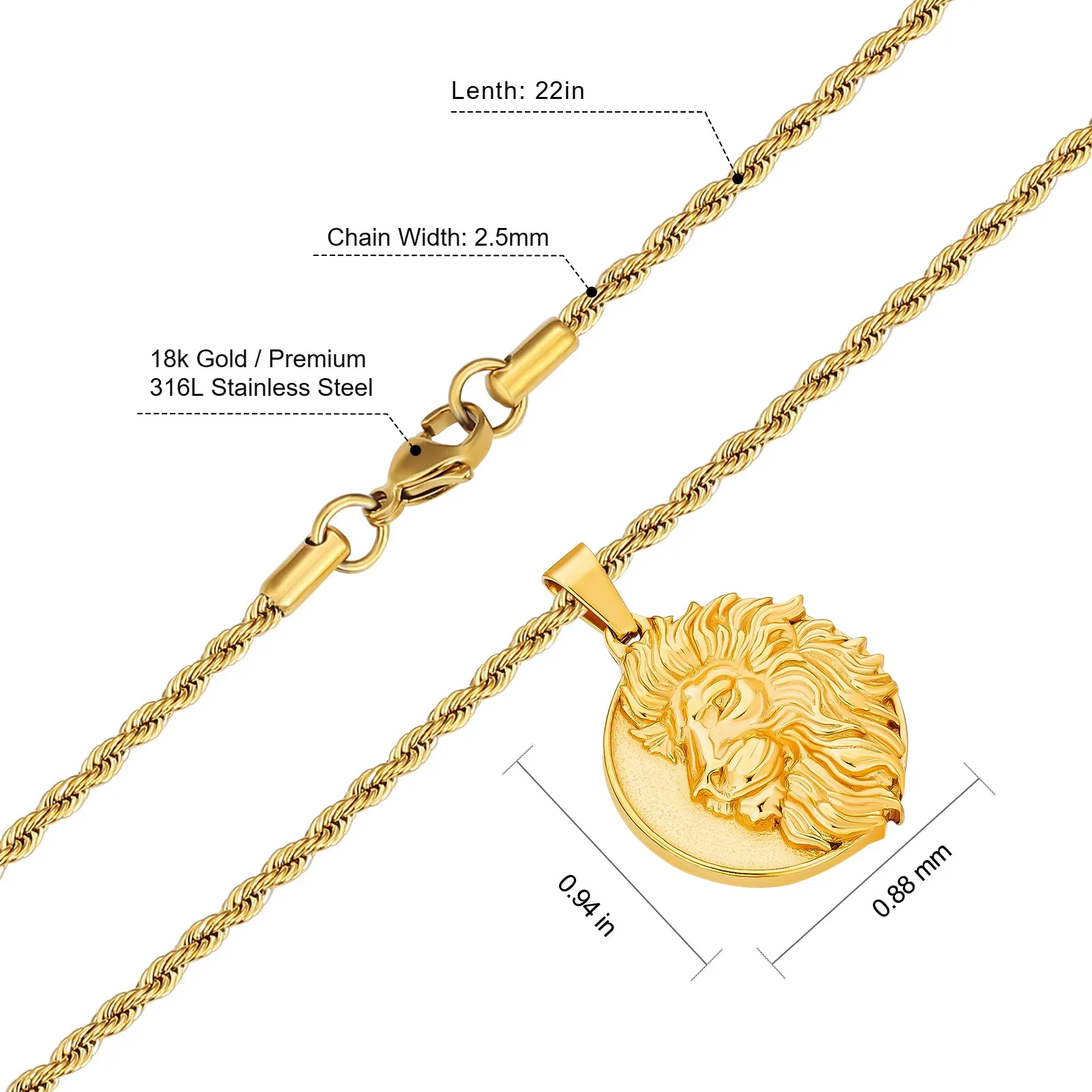 Lion Coin Pendant Necklace for Men LNCM