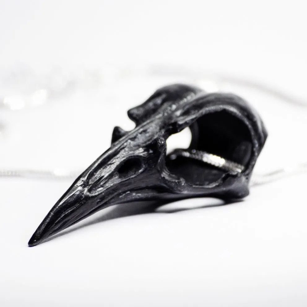 Raven Skull necklace